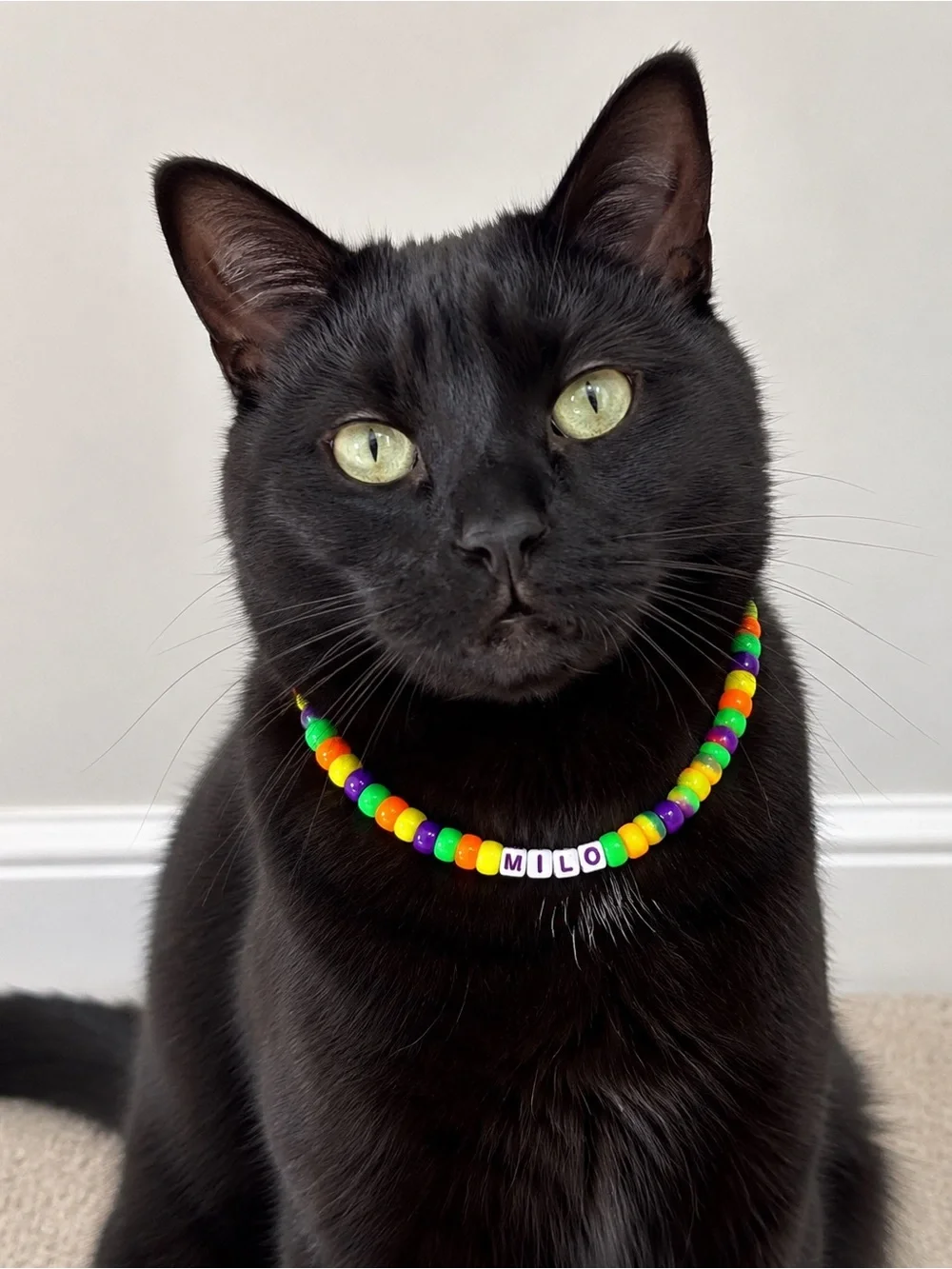 Personalized “Milo” Neon Beaded Cat Collar – 11” Stretch Pet Necklace